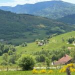 Vue sur les Vosges