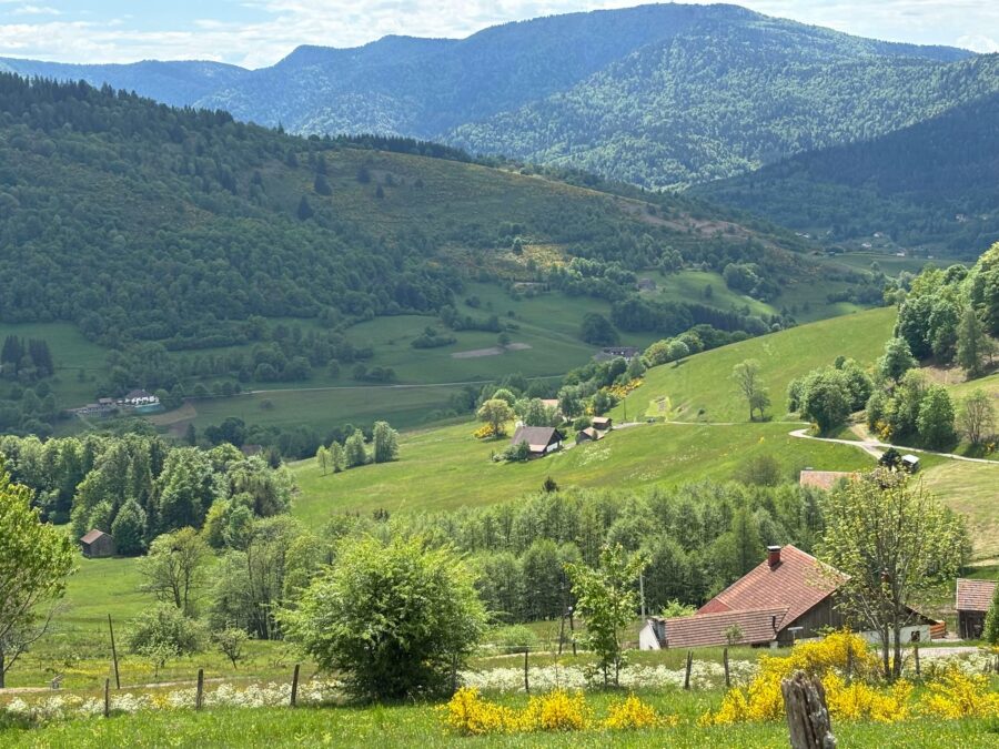 Vue sur les Vosges